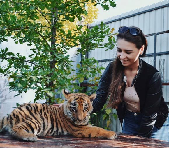 Барнаульские тигрята: горожане делятся снимками малышей в соцсетях