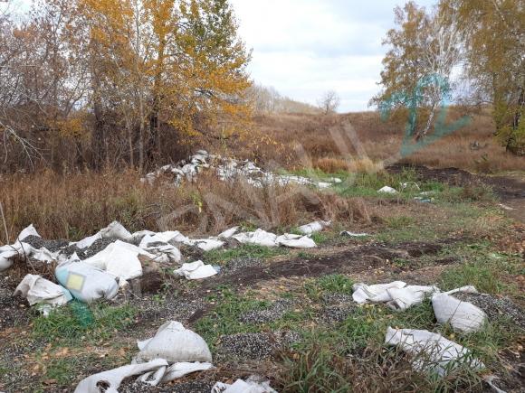 Под Барнаулом обнаружили свалку лузги подсолнечника в мешках (фото)