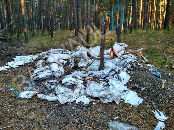 Новую свалку лузги подсолнечника вместе с документами обнаружили в бору (фото)