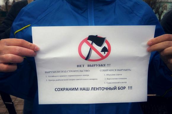 В Барнауле пройдет акция против вырубки ленточного бора