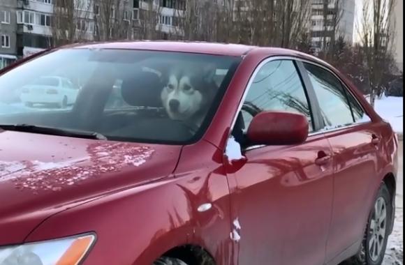 На парковке Барнаула заметили хорошего мальчика за рулем (видео)