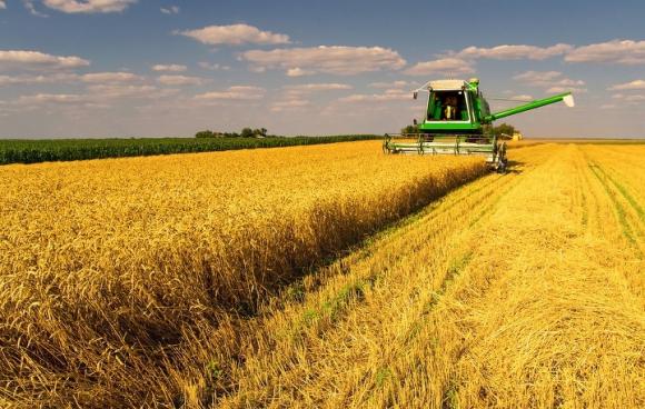 Алтайский край побил рекорд 40-летней давности по урожайности зерна