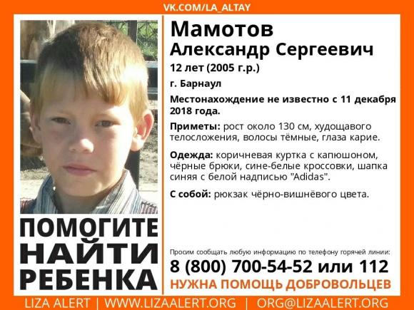 Внимание! Пропал Мамотов Александр, 12 лет - найден, жив