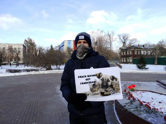 В России приняли закон о защите животных