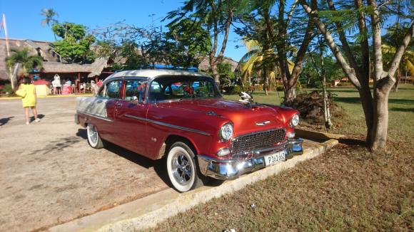 Барнаулец показал, какие ретро-автомобили живут на Кубе (фото)