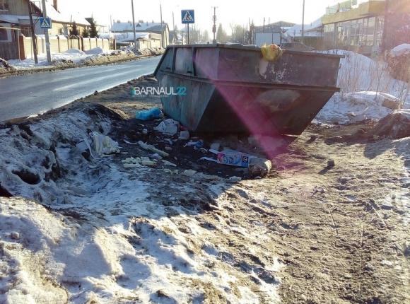 Барнаульцы жалуются на горы мусора в разных районах города (фото)