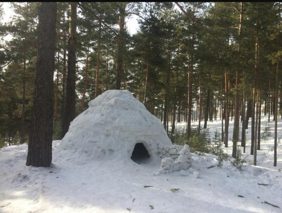 В Ленточном бору построили огромное иглу из снежных блоков