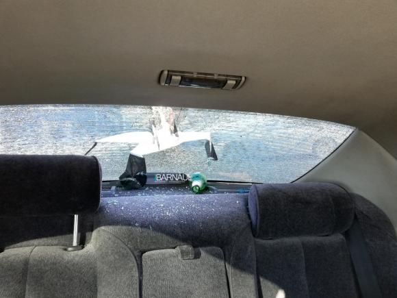 На Георгиева неизвестный разбил пивной бутылкой стекло автомобиля (фото)
