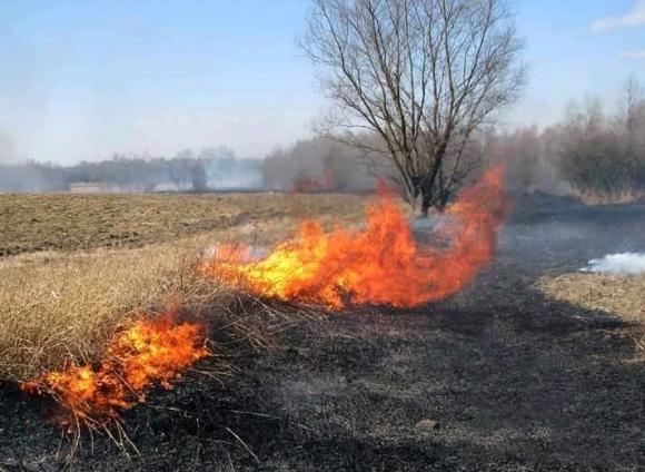 Пенсионер, сжигая траву на участке, едва не спалил деревню