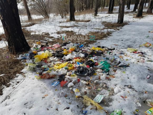 Чувство, что идем по городской свалке: кучи мусора обнаружили в лесу недалеко от Рассказихи (фото)