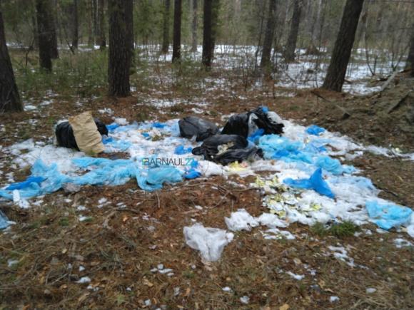 В лесу возле Павловска обнаружили свалку с документами алтайского предприятия (фото)