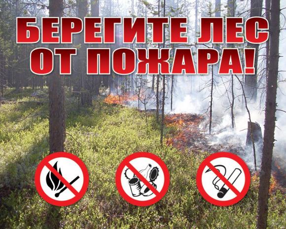 Жителей Алтайского края будут штрафовать за посещение лесов в особый период