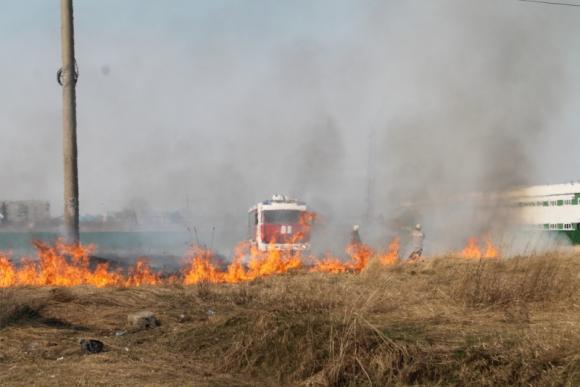В Алтайском крае объявили высокую пожарную опасность!