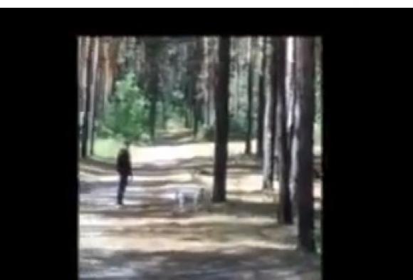 Источник: Мужчина пообещал убить барнаульца за замечание в адрес собаки (видео)