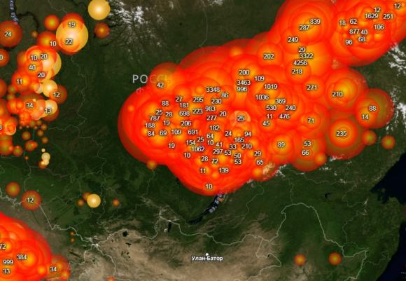 Лесные пожары в Сибири не будут тушить из-за экономии средств