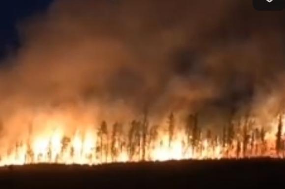 Житель Красноярского края проехал сквозь эпицентр лесного пожара (видео)