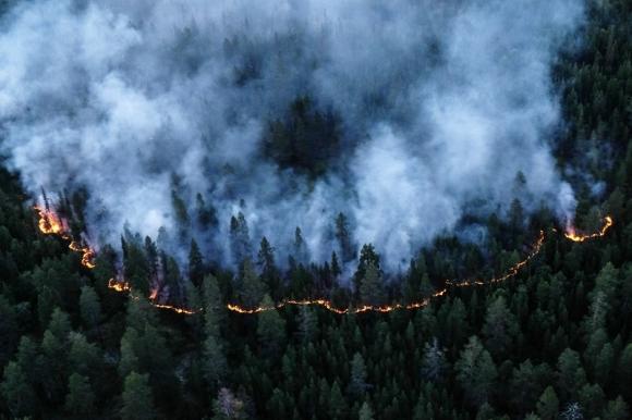 Режим ЧС из-за лесных пожаров ввели в трёх регионах Сибири