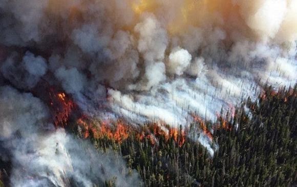 Режим ЧС из-за лесных пожаров объявлен в пяти регионах