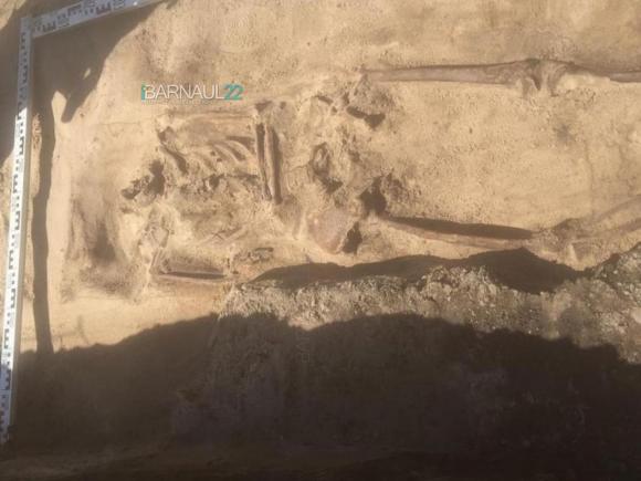На улице Ползунова археологи нашли человеческие останки (фото)
