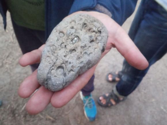 В Чарышском районе найден камень с элементами доисторической 