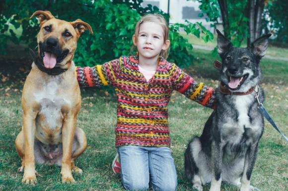 В Барнауле пройдет благотворительная фотосессия с собаками и лошадками