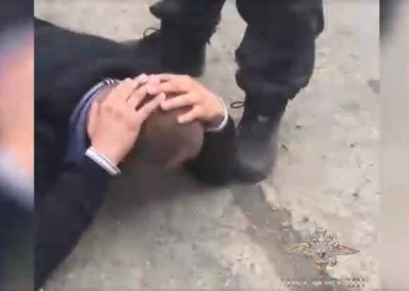 МВД опубликовало кадры задержания аферистов, которые обманули более 1000 человек в Сибири (видео)
