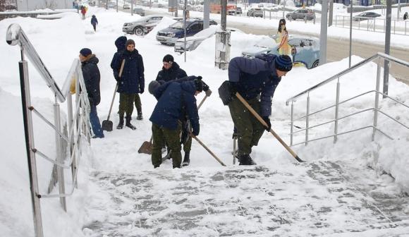Студенты-добровольцы очищают тротуары и лестницы Барнаула (фото)