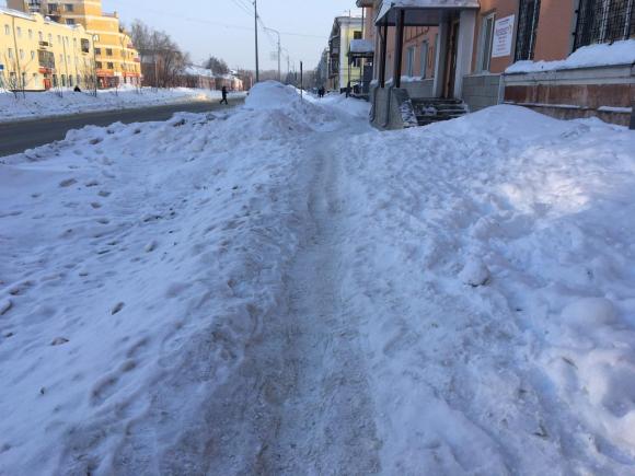 Общественники Барнаула обратились в прокуратуру из-за козьих тропок (фото и видео)