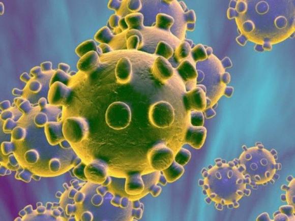 В России зафиксированы два случая заболевания коронавирусом
