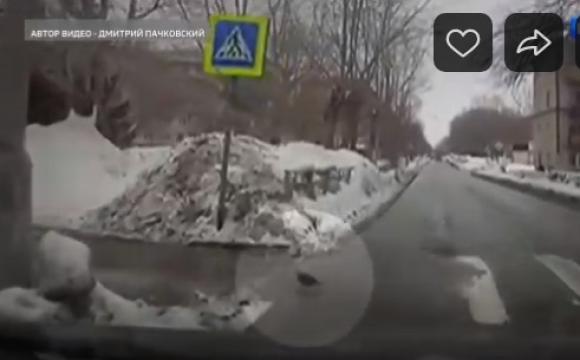 Вежливые водители пропустили умного голубя на зебре (видео)