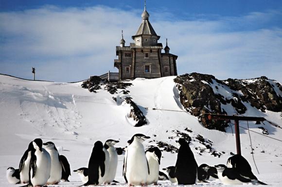 В Антарктиде построят храм-часовню на средства бизнесмена из Белокурихи