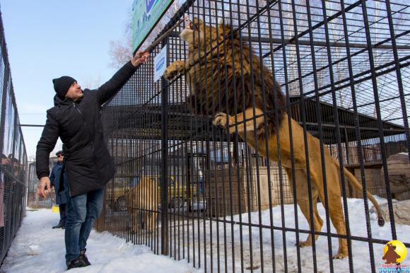 Барнаульский зоопарк закрылся из-за коронавируса