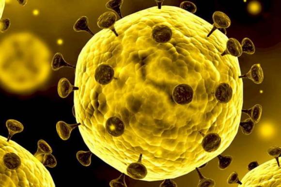 Новый случай заболевания коронавирусом выявлен в регионе