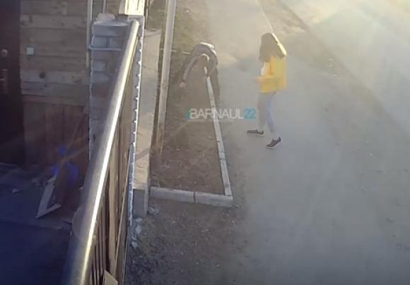 В Барнауле парочка украла елку у дома (видео)