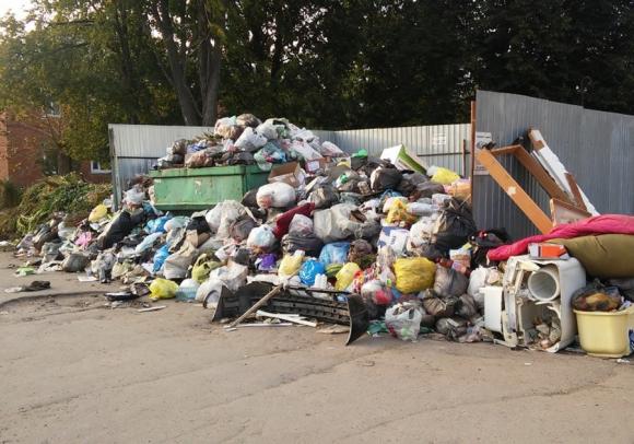 В Алтайском крае могут прекратить вывозить мусор