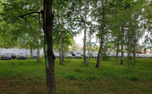 Десятки новых Toyota Camry нашли в российском лесу (видео)