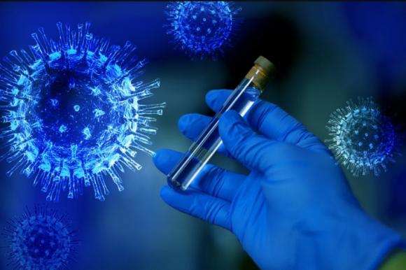 +79 новых случаев заражения коронавирусной инфекцией