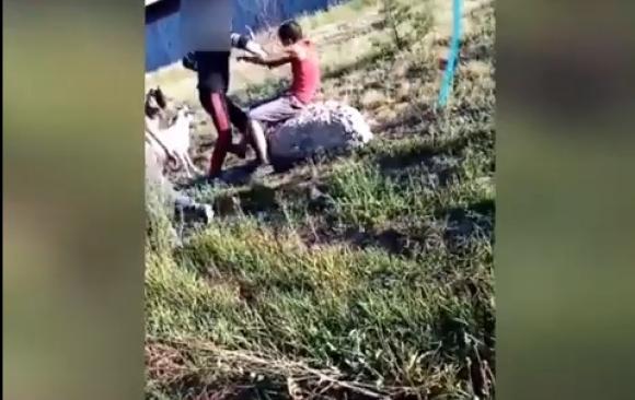 В Камне-на-Оби подростки жестоко избили сверстника (видео)