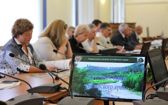 В управлении лесами Алтайского края идут обыски