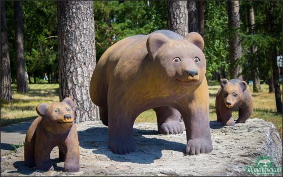 Еще три медвежонка родились в Барнауле