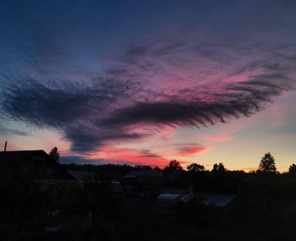 Облако-птица на закате (фото)