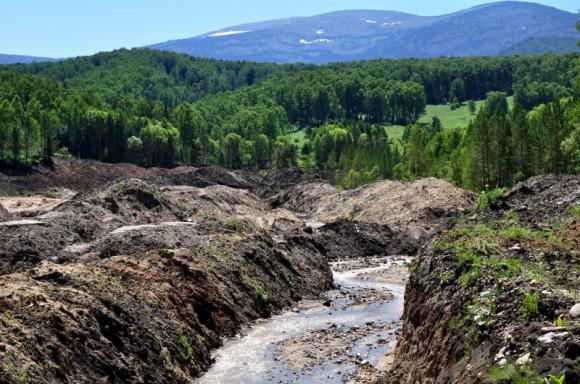 В Алтайском крае добиваются рекультивации земель после золотодобычи (фото)
