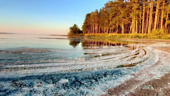 В соцсетях сообщают об экологической катастрофе на озере Горькое-Перешеечное