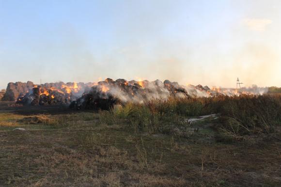 Дети сожгли сено на миллион рублей