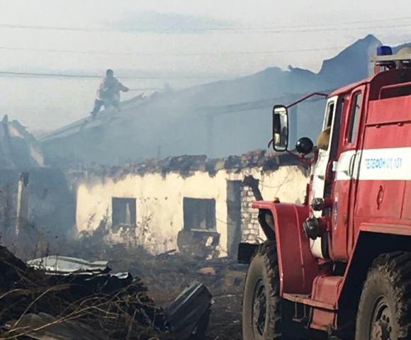 В Алтайском крае спасатели вывели животных с горящей фермы