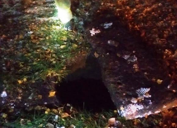 Спасение из колодца: девочка провалилась в яму в барнаульском парке