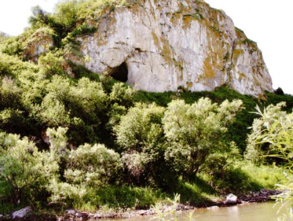 Еще две пещеры с останками неандертальцев нашли в Алтайском крае