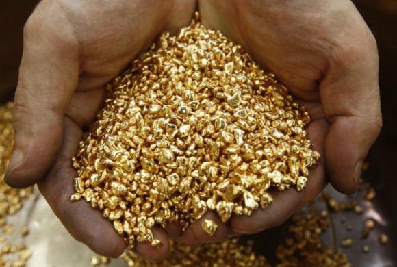 Жители Алтая обеспокоены планами по золотодобыче в прителецкой тайге