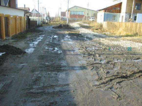 Жители старой Борзовой Заимки решили построить дорогу сами