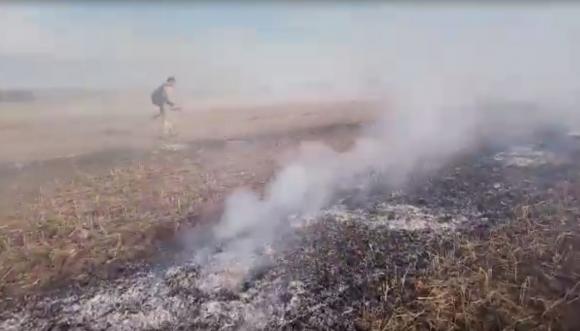 В Алтайском крае задержали поджигателя полей (видео)